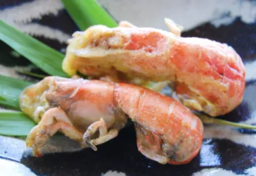 夏限定 アナジャコ